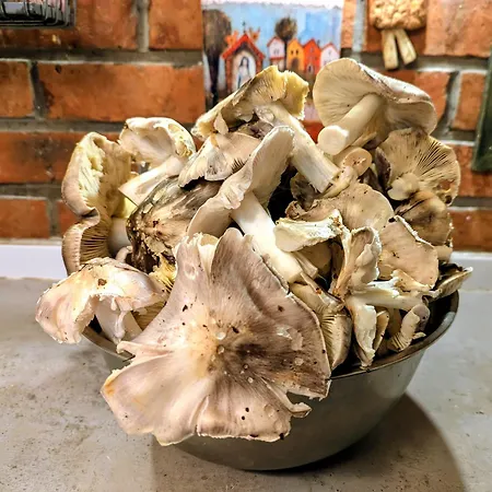 Piecówka Kaczkowo (Wejherowo)