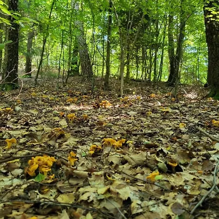 Dom wakacyjny Piecówka Kaczkowo (Wejherowo)