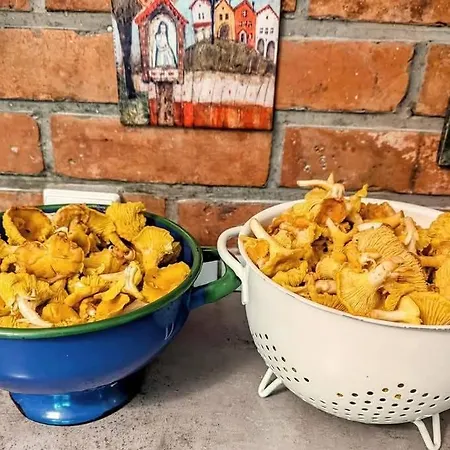 Piecówka