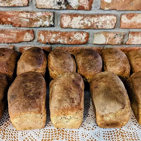 Semesterbostad Piecowka