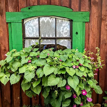 Piecówka * Kaczkowo (Wejherowo)
